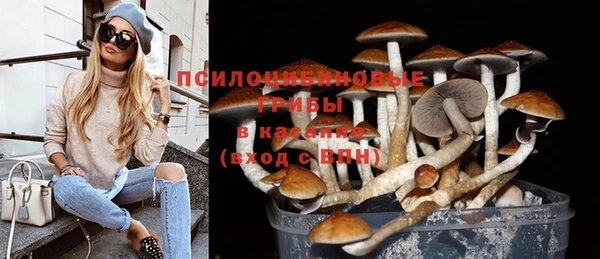 стафф Покровск