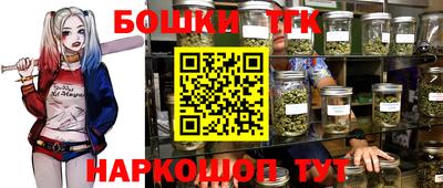 дмт Славгород