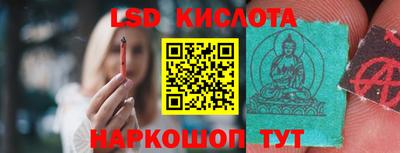 дмт Славгород