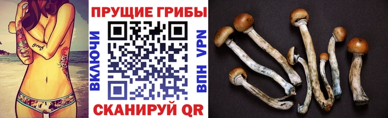 Галлюциногенные грибы ЛСД  Урюпинск 