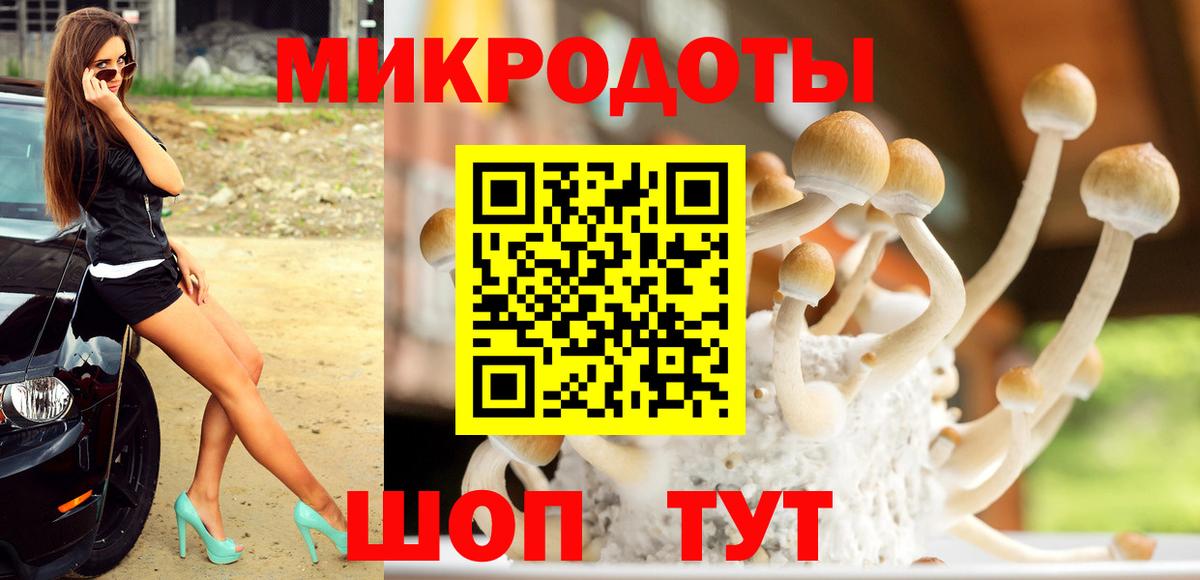 Псилоцибиновые грибы мухоморы Урюпинск