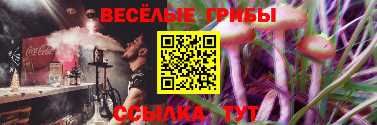 Урюпинск  Галлюциногенные грибы прущие грибы  Вход с VPN 